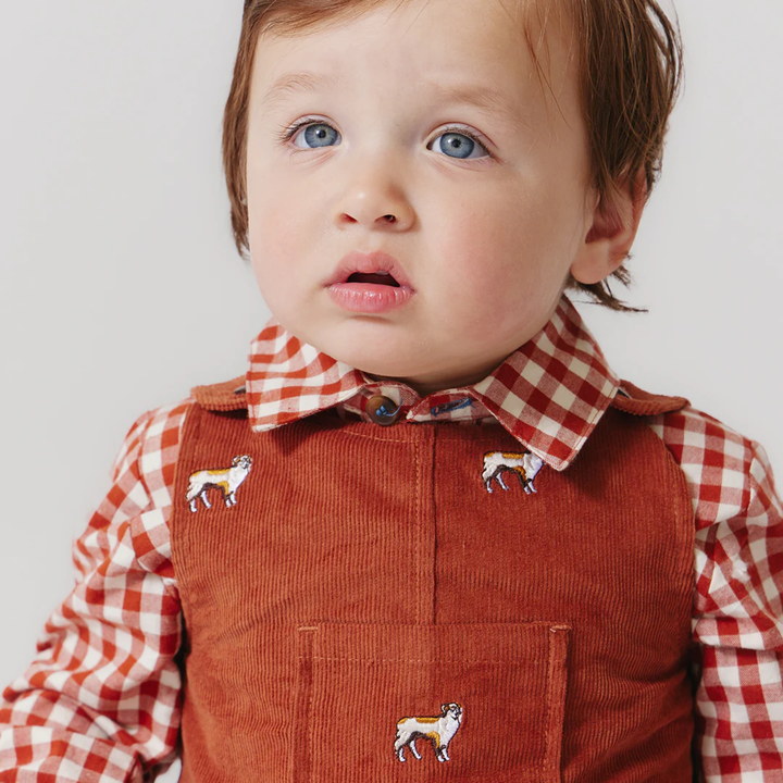 a baby boy Baby Corduroy Noah Jumper - Dog Embroidery