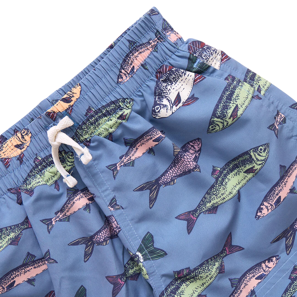 Baby Swim Trunk - Bluestone Multi Fishies details