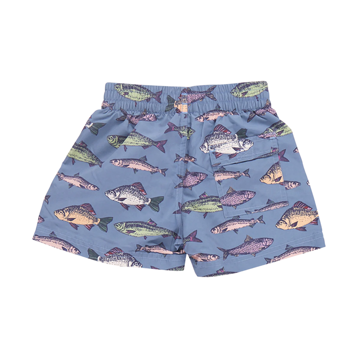 Baby Swim Trunk - Bluestone Multi Fishies back