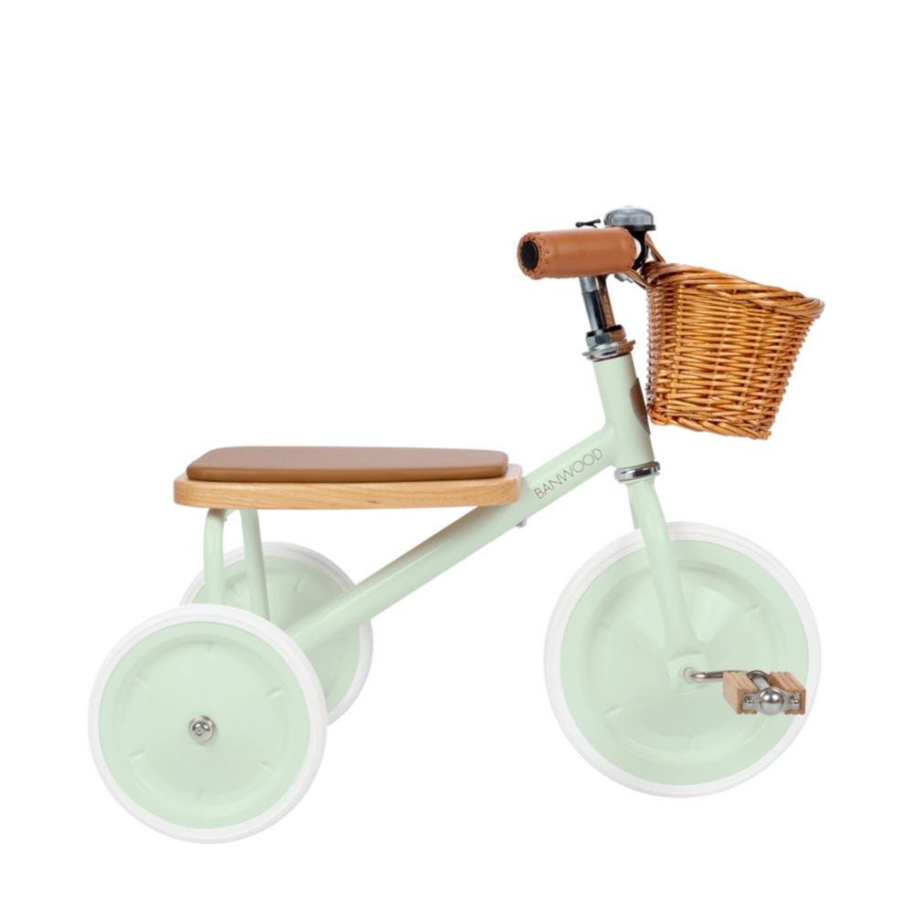 Trike in Pale Mint side