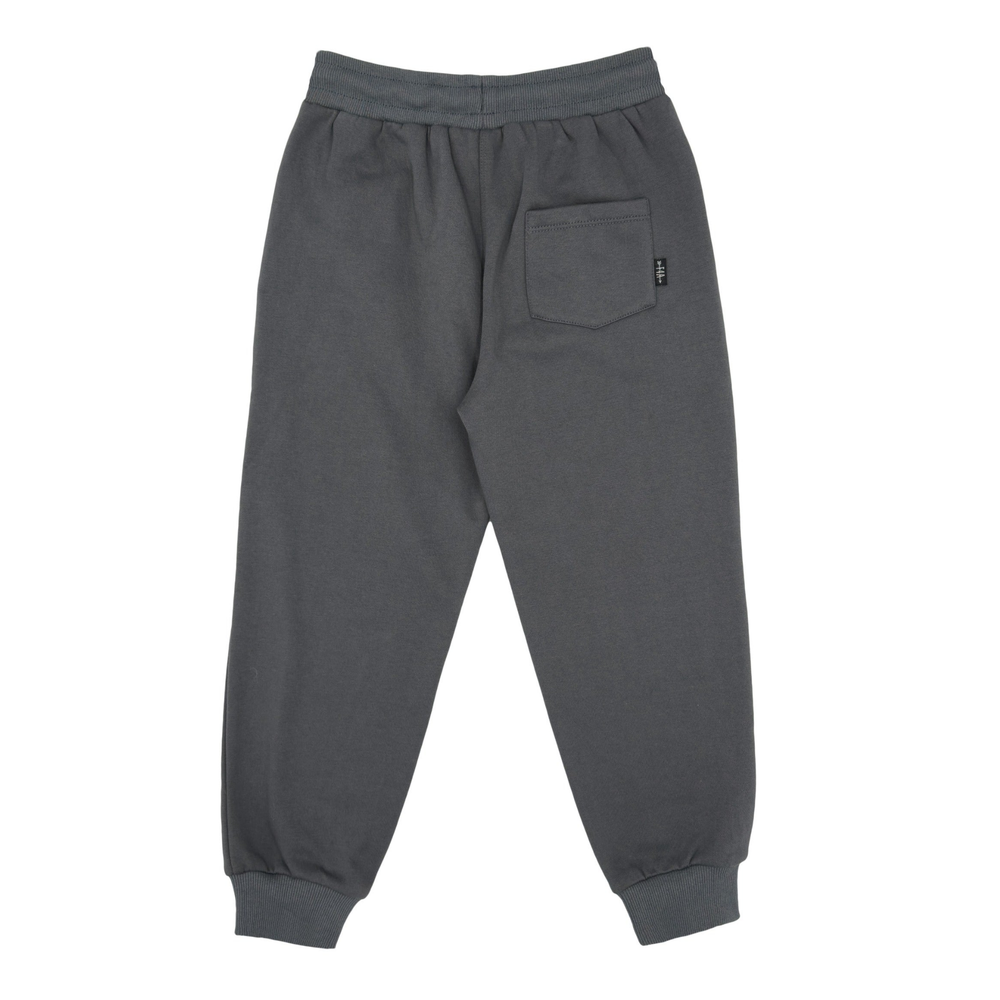 Bowie Fleece Jogger in Charcoal back