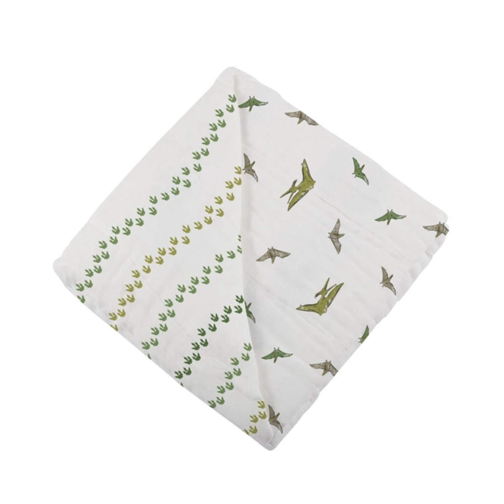 Dino Feet and Pteranodon Blanket back to back design