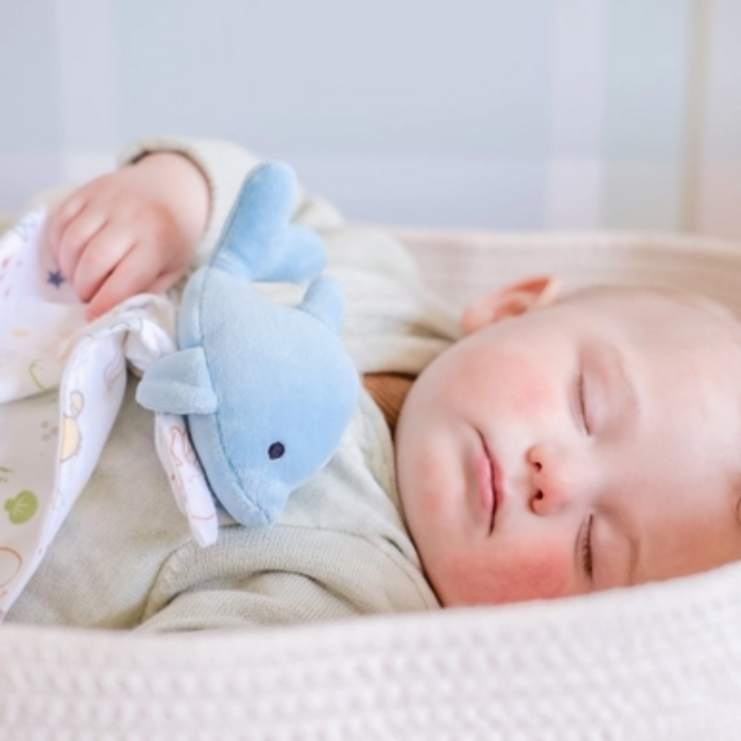 a baby sleeping beside Dolphin Comforter