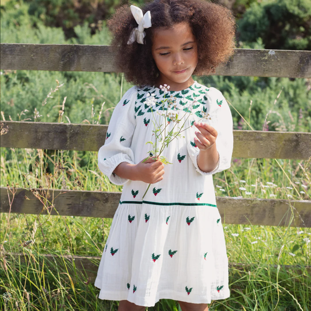 a girl wearing Fiona Dress - Holly Embroidery