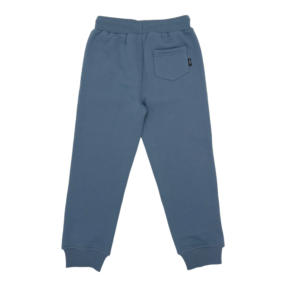 Icon Fleece Jogger in Slate Blue back