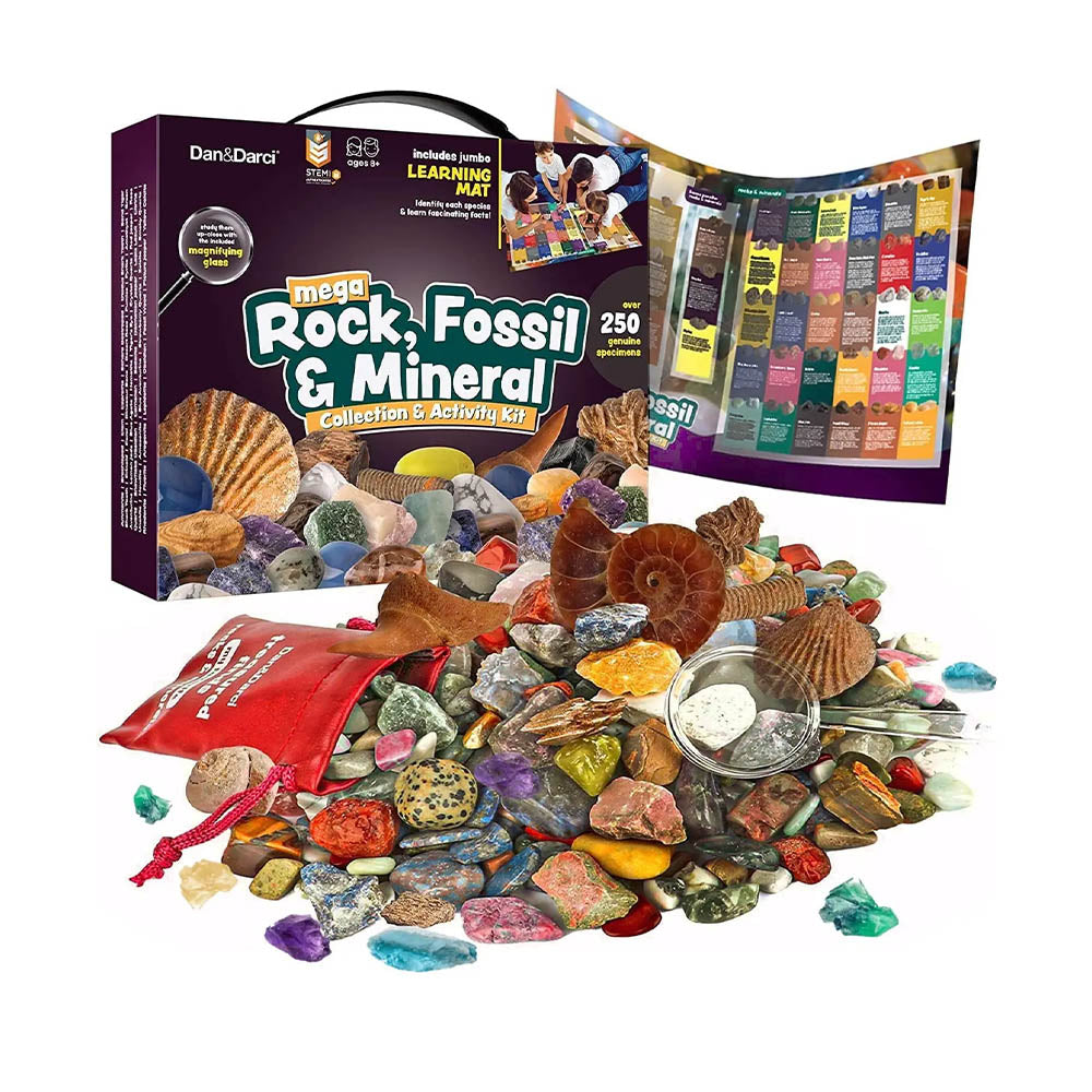 rock fossil mineral activitiy kit