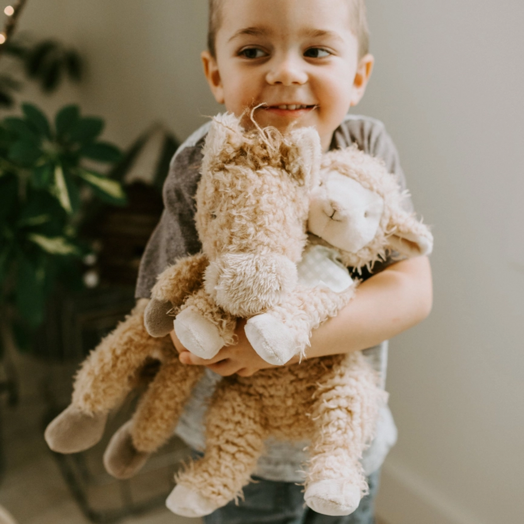 a little boy hugging Pony Boy Horse