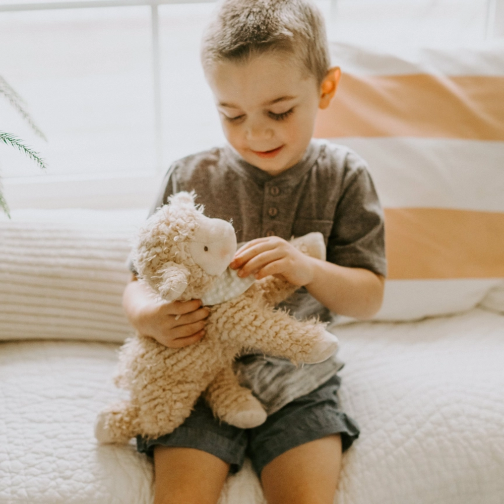 a little boy hugging the Shep the Sheep