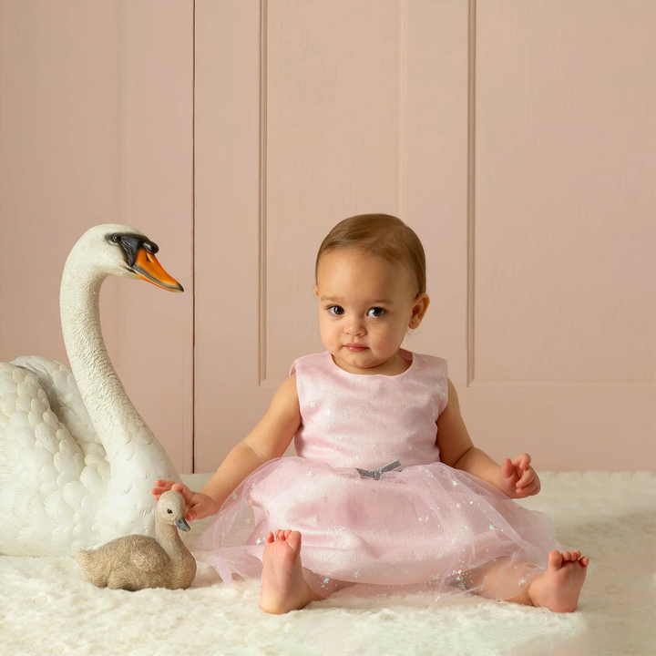 a baby girl wearing Sparkle Tulle Dress in Pink