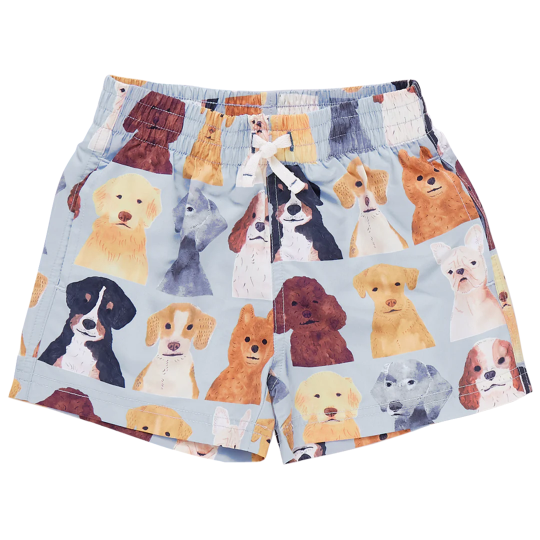 Swim Trunk - Light Blue Watercolor Dogs front