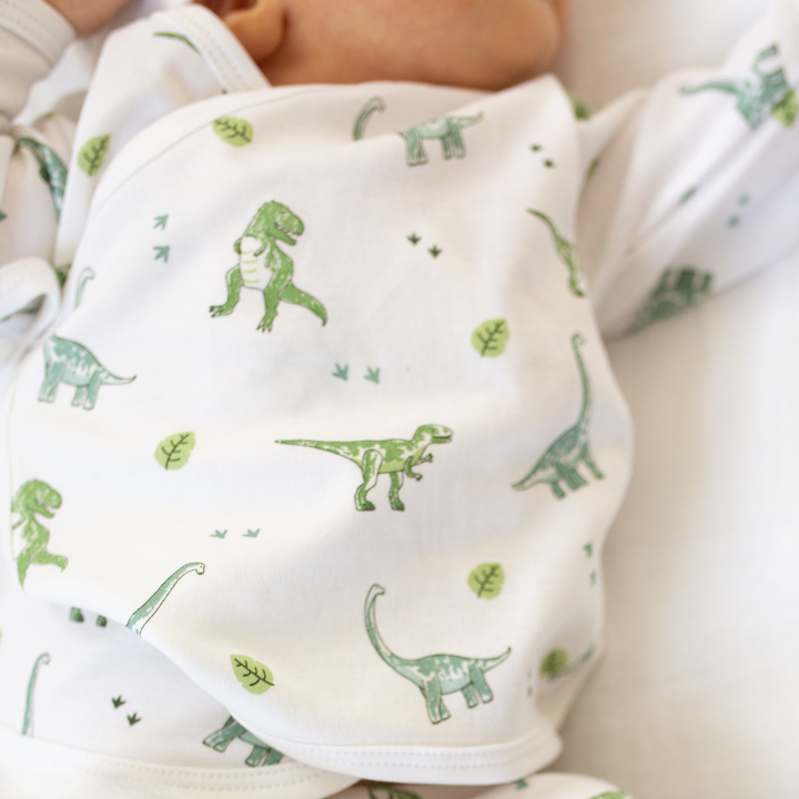 a baby wearing Wondrous Dino Take Me Home Set