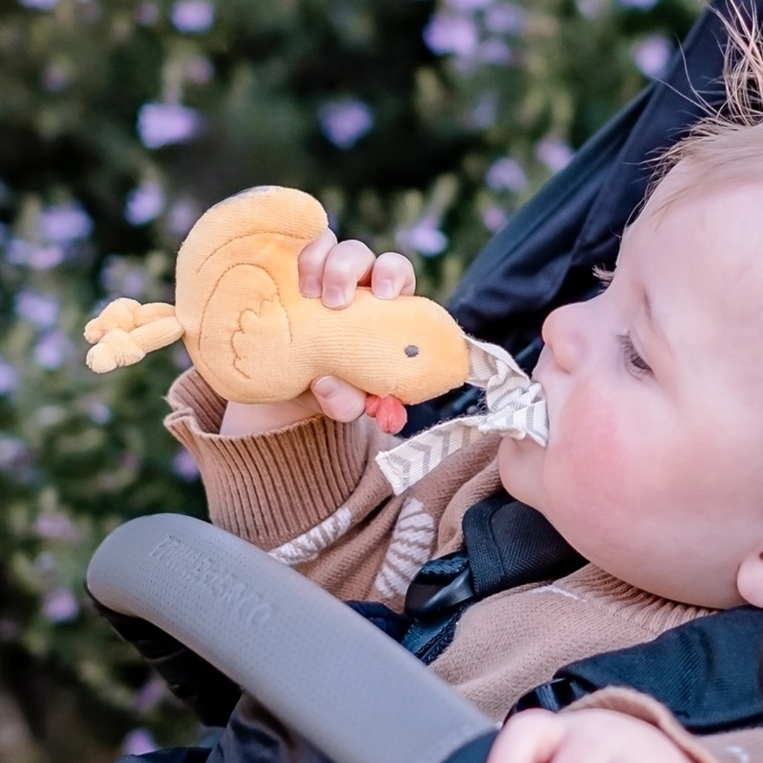 a baby holding Tara the Duck Tag Along Pram Toy