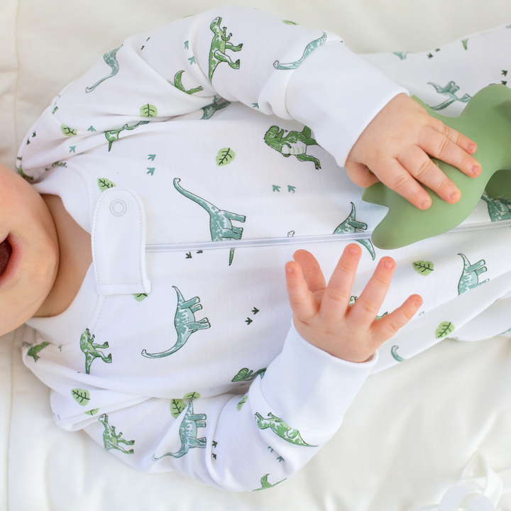 a baby wearing Wondrous Dino Zipper Romper