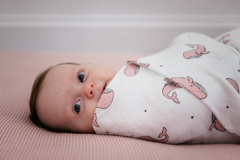 a baby wrap in Organic Whale Muslin Swaddle in Pink