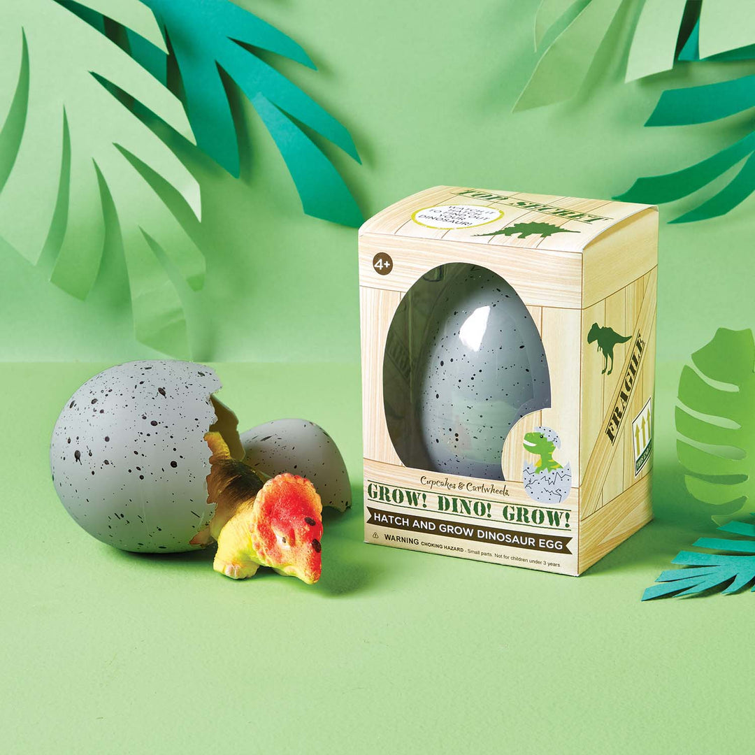 grow dino egg box 