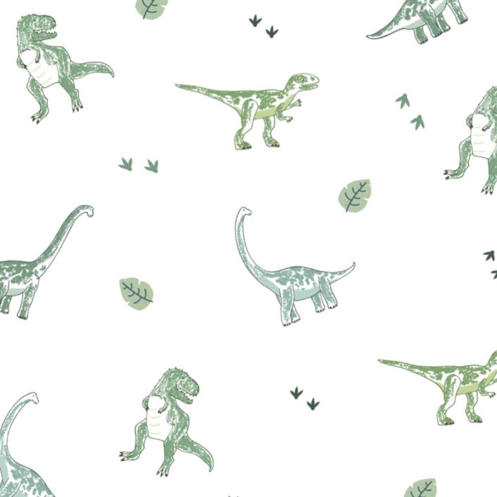 Wondrous Dino Pajama Set